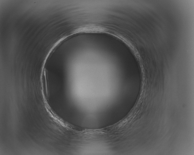 X0000052950864200507300043