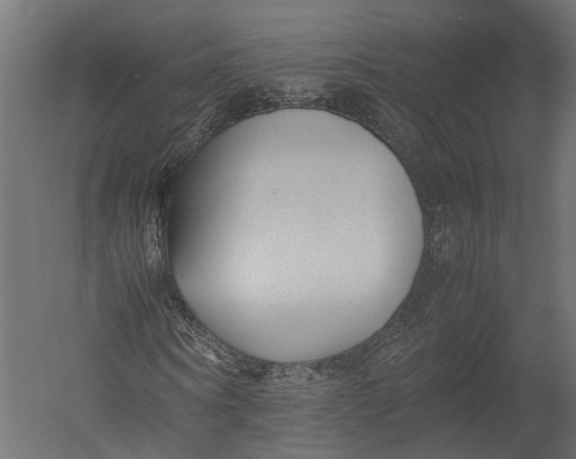 X0000052950866200507300042