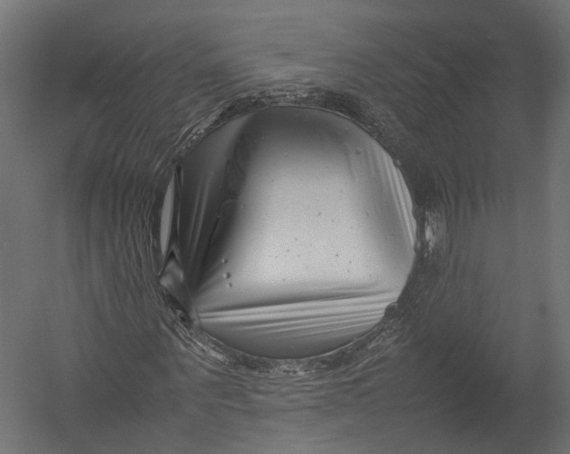 X0000052950867200507300042