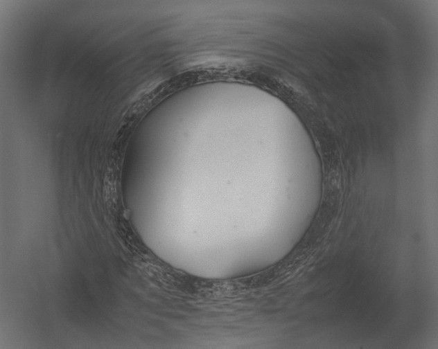 X0000052950869200507300042