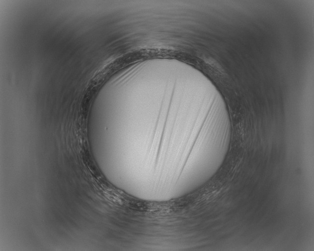 X0000052950870200507300042