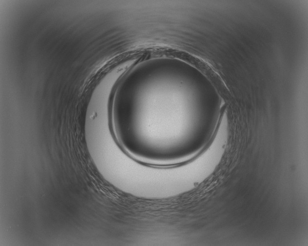 X0000052950871200507300042
