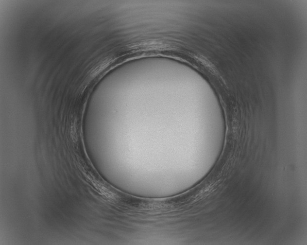 X0000052950873200507300042