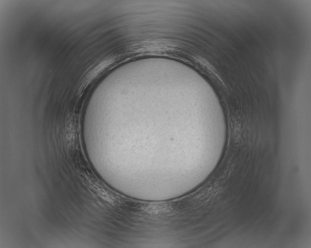 X0000052950874200507300042
