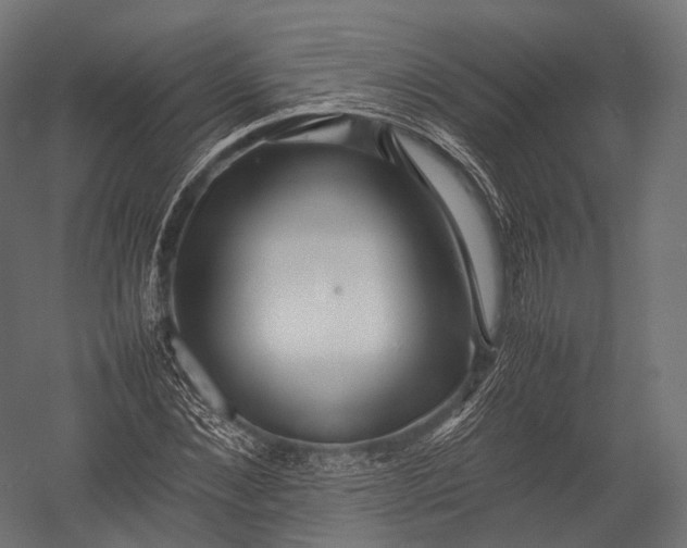 X0000052950876200507300042