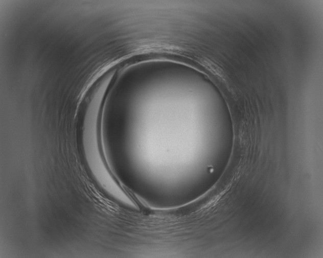 X0000052950877200507300042