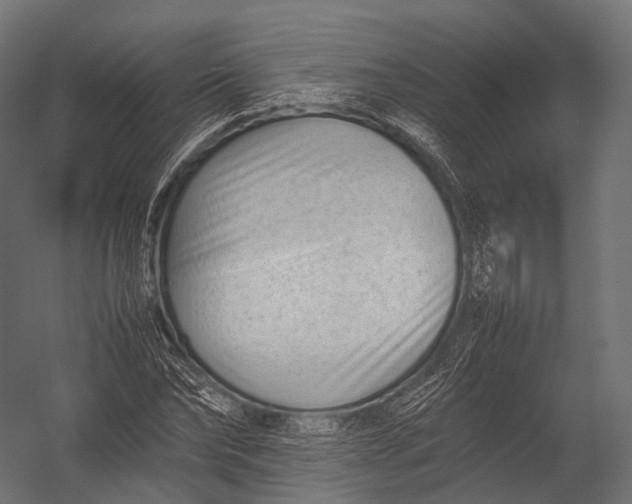 X0000052950878200507300042