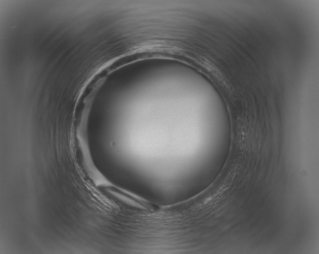 X0000052950880200507300042