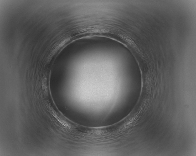 X0000052950881200507300042