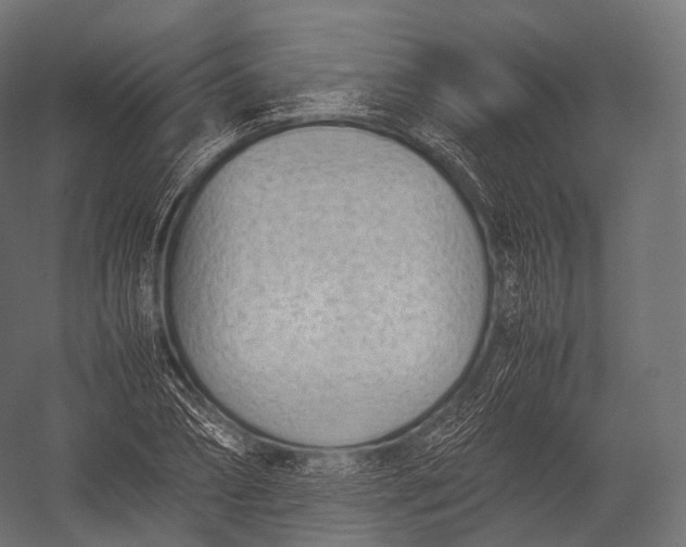 X0000052950882200507300042