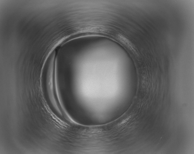 X0000052950884200507300042