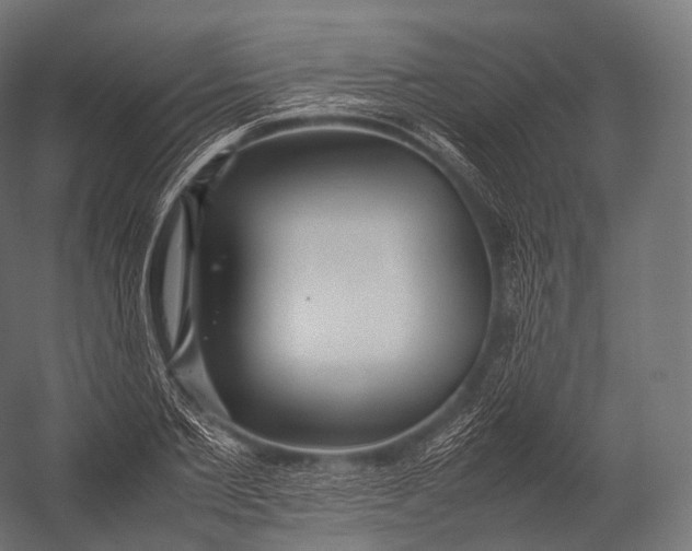 X0000052950885200507300042