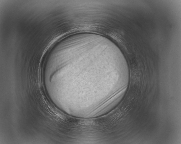 X0000052950886200507300042
