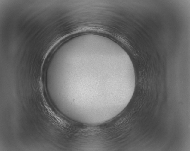 X0000052950888200507300042