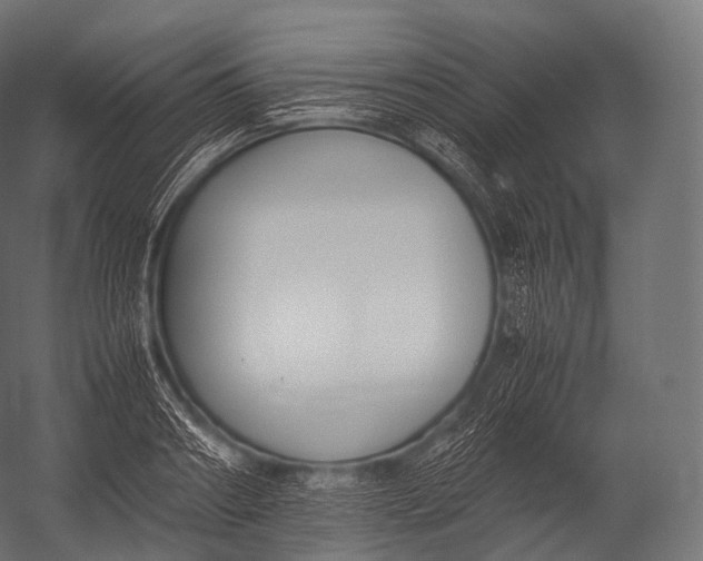 X0000052950890200507300042