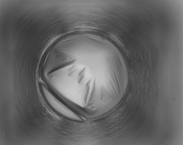 X0000052950891200507300042