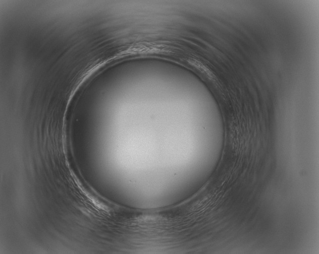 X0000052950894200507300042
