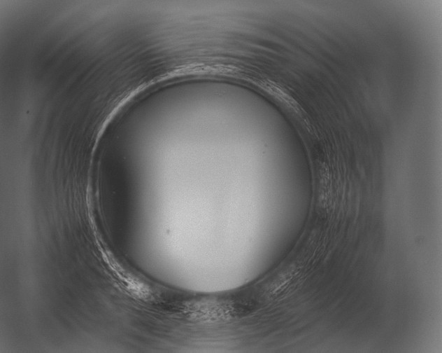 X0000052950896200507300042
