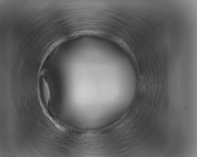 X0000052950898200507300042