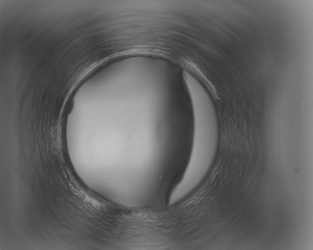 X0000052950900200507300042