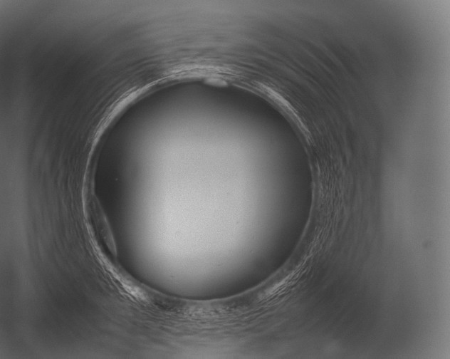 X0000052950901200507300042