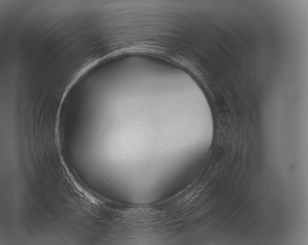 X0000052950902200507300042