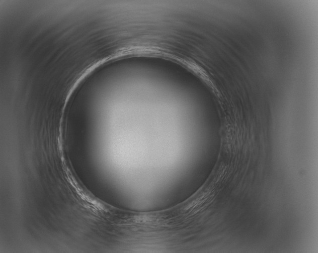X0000052950904200507300042