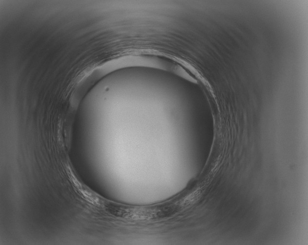 X0000052950905200507300042