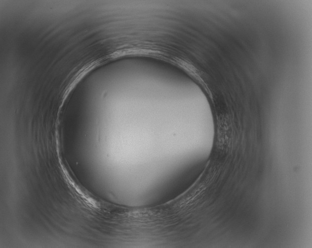 X0000052950906200507300042