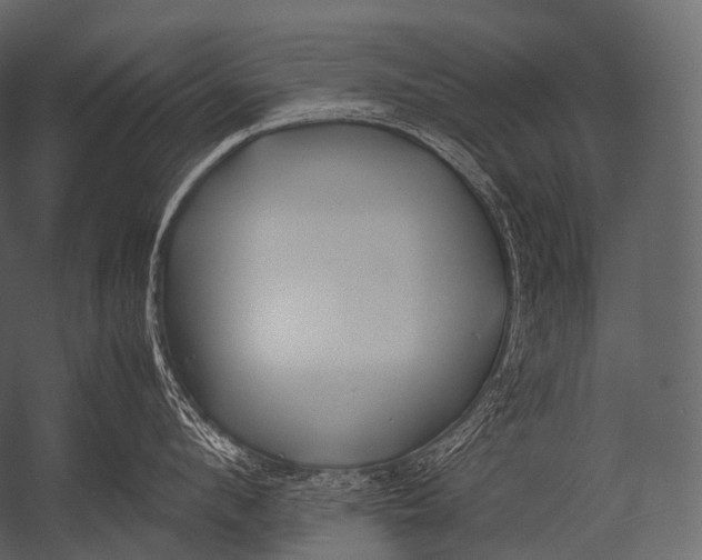 X0000052950912200507300042