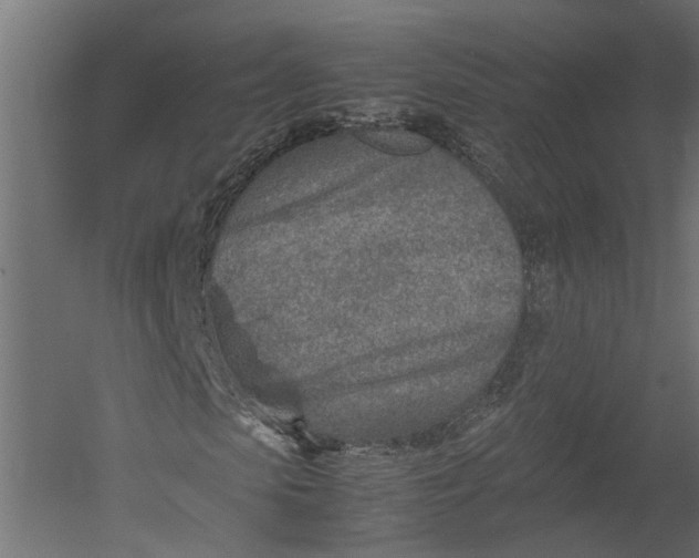 X0000052950913200507300041