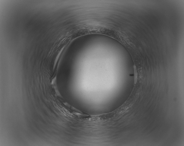 X0000052950916200507300041