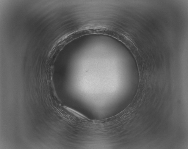 X0000052950920200507300041