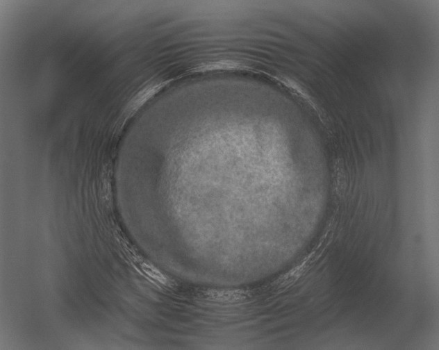 X0000052950921200507300041