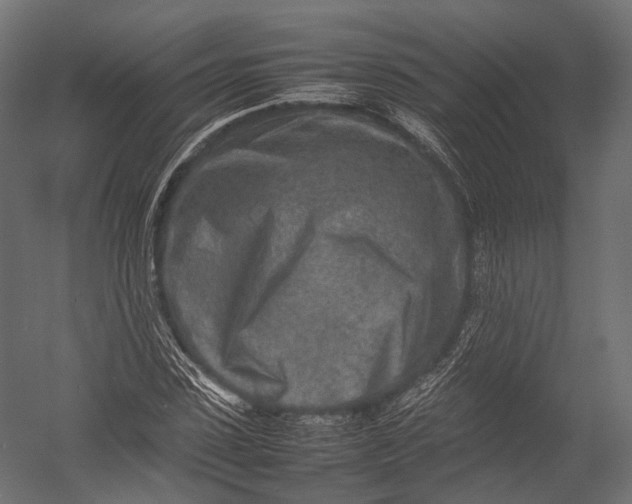 X0000052950923200507300041