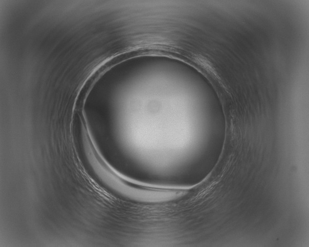 X0000052950924200507300041