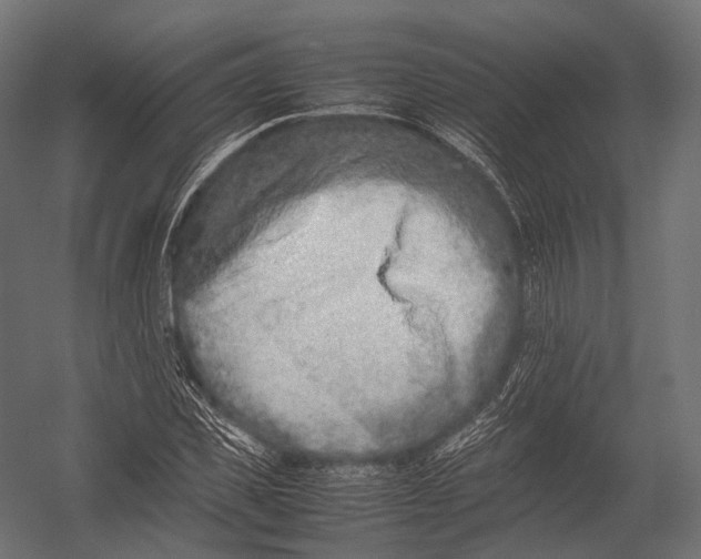 X0000052950925200507300041