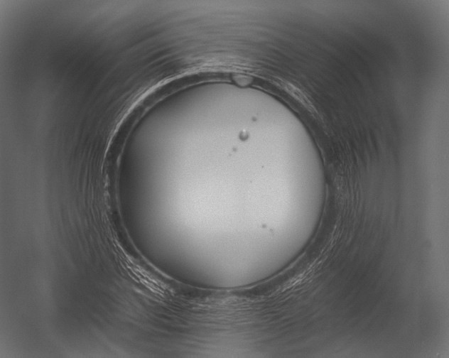 X0000052950926200507300041