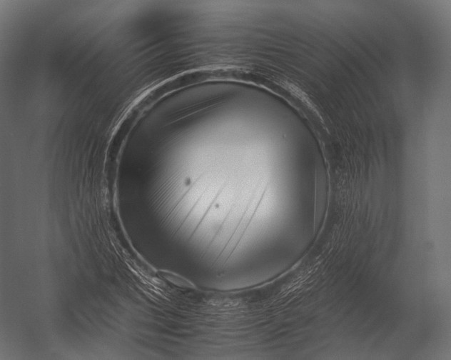 X0000052950927200507300041
