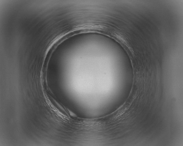 X0000052950928200507300041