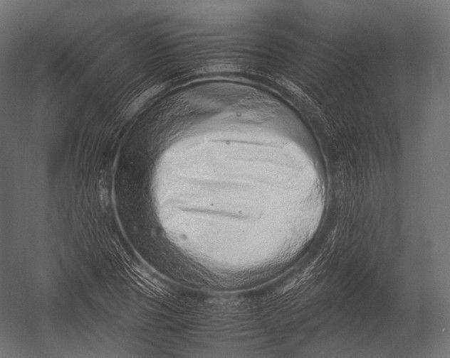 X0000052950929200507300041
