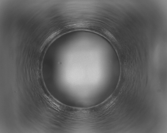 X0000052950930200507300041