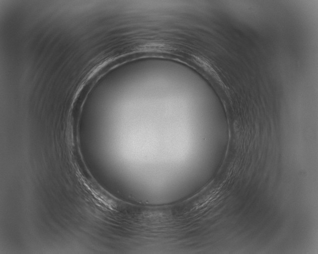 X0000052950931200507300041