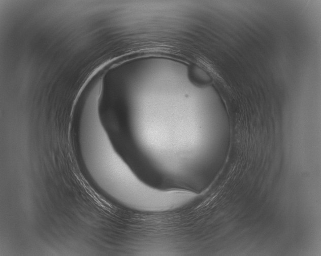 X0000052950932200507300041