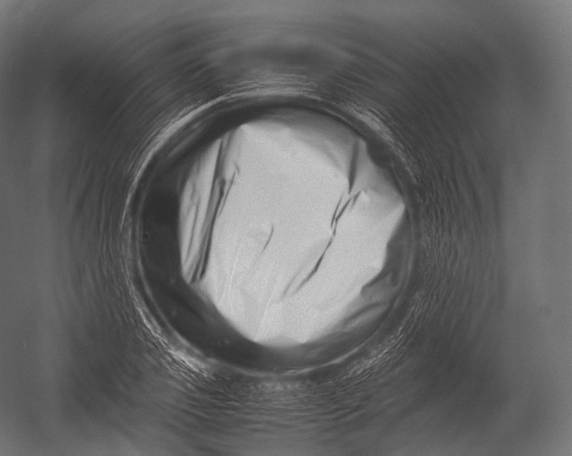 X0000052950933200507300041