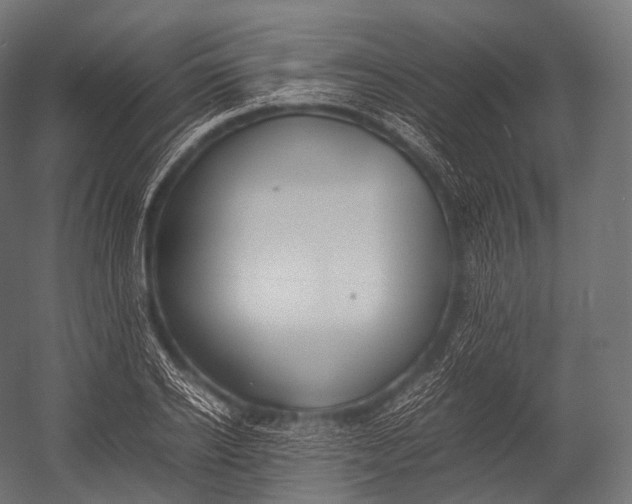 X0000052950934200507300041