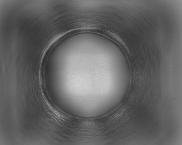 X0000052950935200507300041