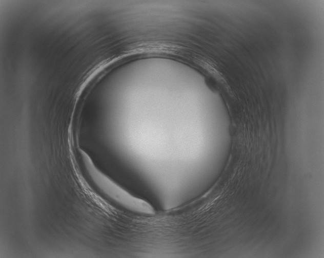X0000052950936200507300041