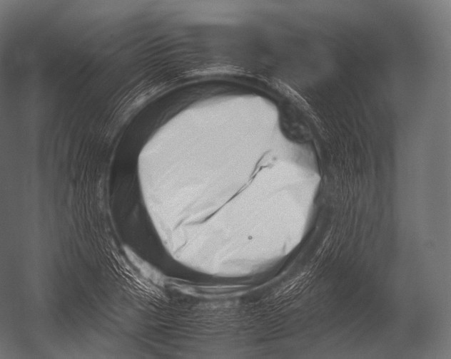 X0000052950937200507300041