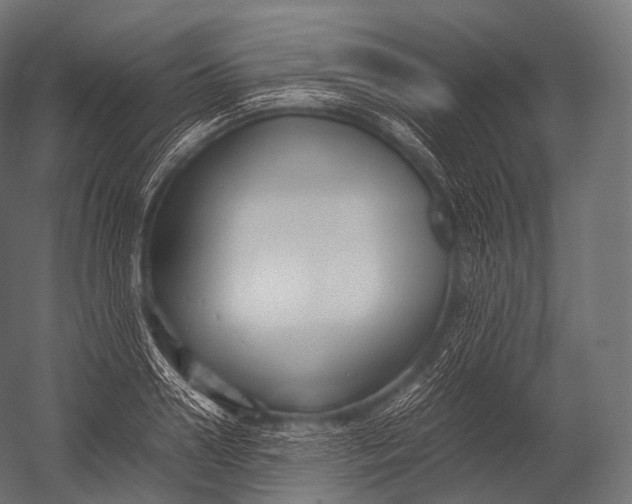 X0000052950938200507300041